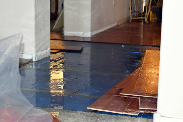 Professional Sewage Cleanup technician working in Springlake, TX